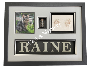 Cat clay paw prints hair and photo