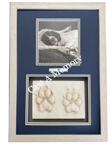 Dog Paw print gifts