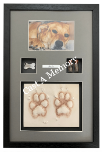 framed dog paw print impression in clay with photo tag and hair