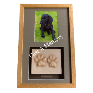 framed clay paw prints with photo