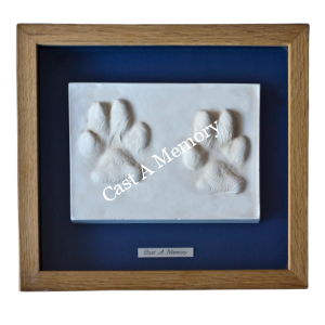 clay paw print impressions framed - clay