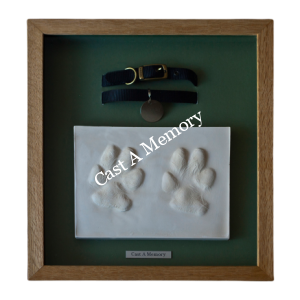 paw print with collar framed